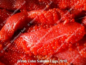 Fresh Salmon Egg, Fresh Salmon Roe, Xtreme Northwest Bait Co